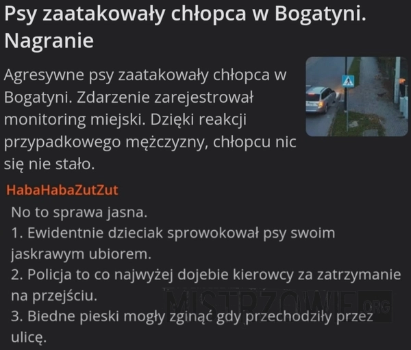 
    Psy zaatakowały chłopca
