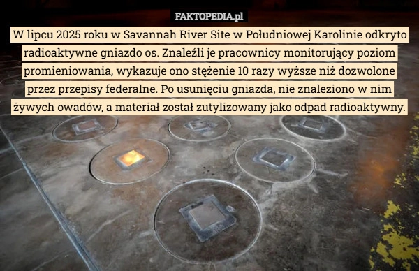 W lipcu 2025 roku w Savannah River Site w Południowej Karolinie odkryto