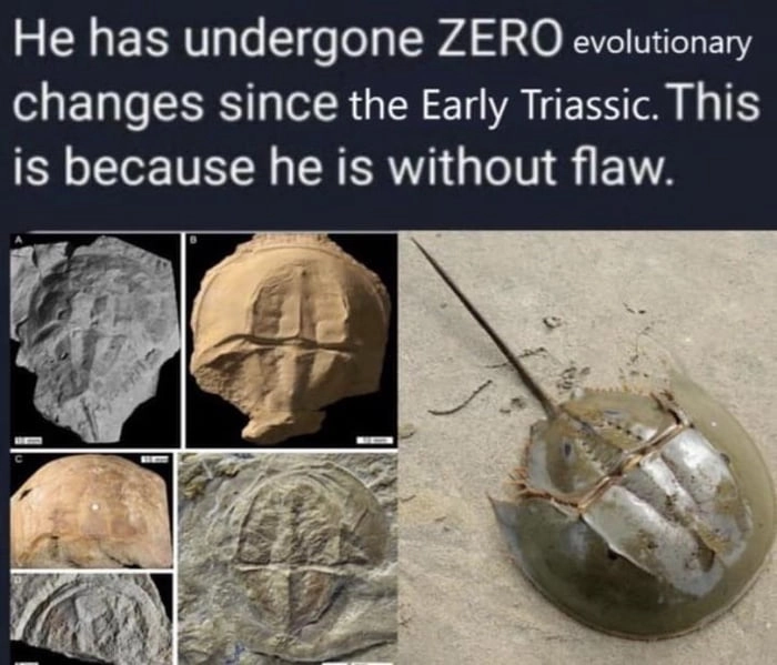 But here you pay taxes and all...