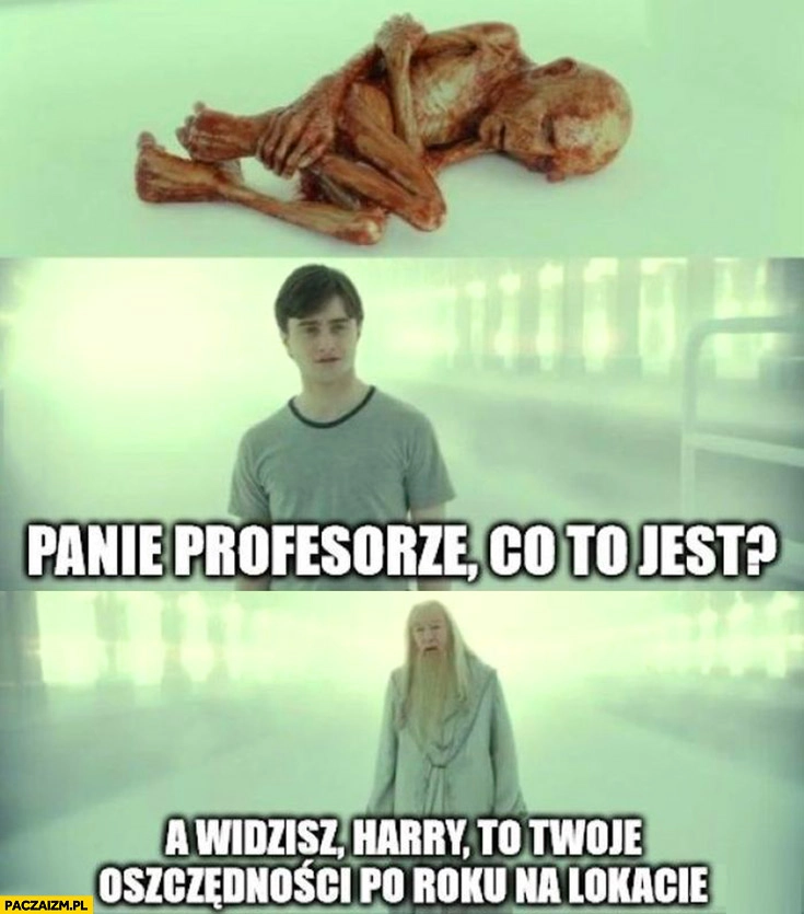 
    Harry Potter panie profesorze co to jest? To twoje oszczędności po roku na lokacie