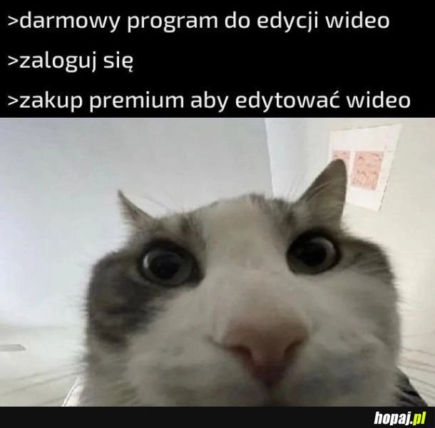 Przeważnie tak jest