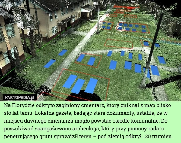 Na Florydzie odkryto zaginiony cmentarz, który zniknął z map blisko sto