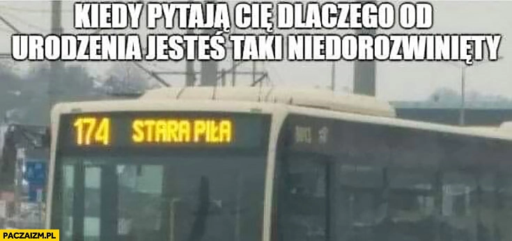 Kiedy pytają Cię dlaczego od urodzenia jesteś niedorozwinięty stara piła autobus