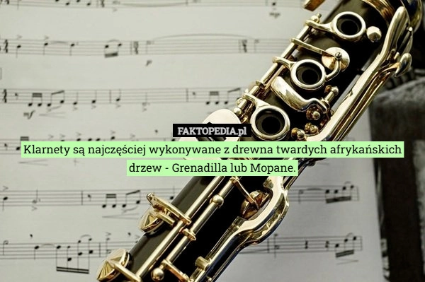 Klarnety są najczęściej wykonywane z drewna twardych afrykańskich drzew