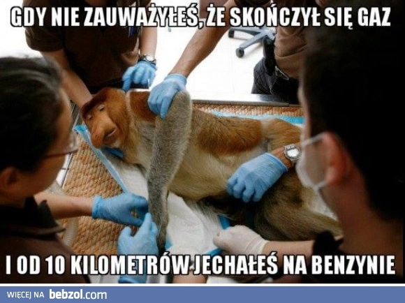 
    Najgorzej 