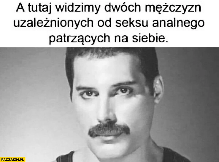 A tutaj widzimy dwóch mężczyzn homoseksualistów patrzących na siebie Freddie Mercury