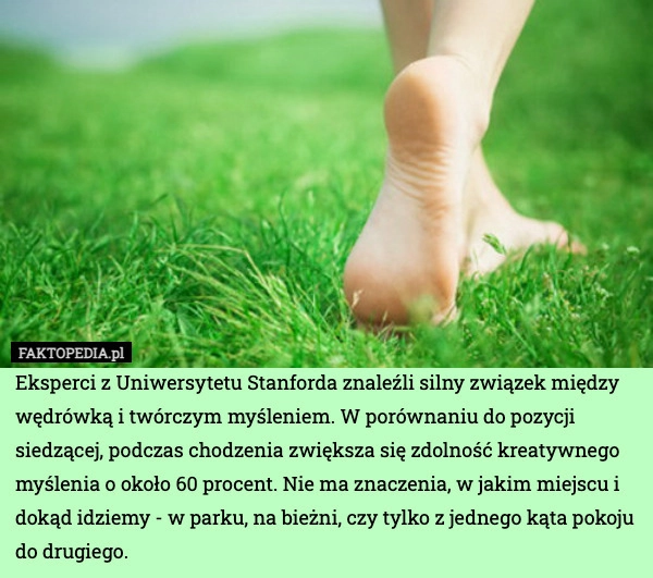 
    Eksperci z Uniwersytetu Stanforda znaleźli silny związek między wędrówką