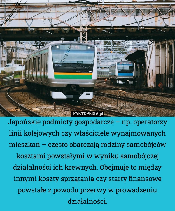 
    Japońskie podmioty gospodarcze – np. operatorzy linii kolejowych czy właściciele