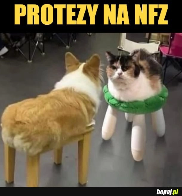 Protezy