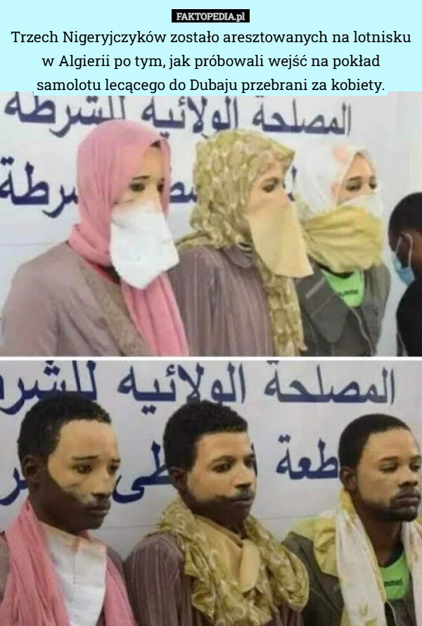 Trzech Nigeryjczyków zostało aresztowanych na lotnisku w Algierii po tym,