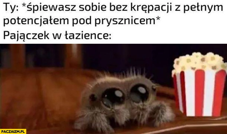 Ty śpiewasz sobie bez krępacji pod prysznicem, pajączek w łazience słucha z popcornem