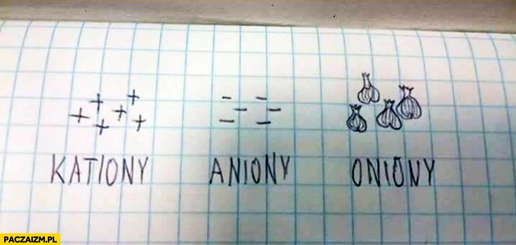 Kationy aniony oniony cebula