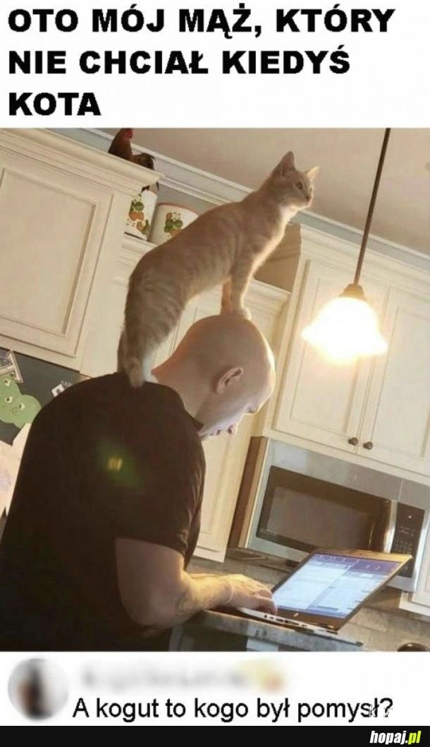 
    Żeby kotu było raźniej